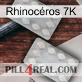 Rhinocéros 7K 17